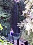 Shanklin Chine 2 * 1524 x 2032 * (874KB)